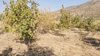 Desi Bhabhi hot Sex In Hindi, Desi Bhabhi Romantic Sex With her Devar Cumshot In Mouth Bhabhi Asking Yummy New Video - 3 image