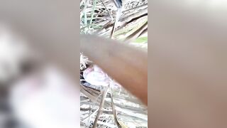 Jungle Mein Mangal bhabhi ji - 2 image