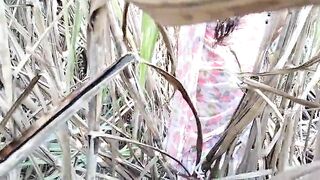 Bhai_bahan_ne_kiya_Jungle_Mein_Mangal. - 2 image