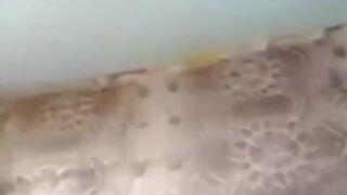 indian mallu sucking and fucking with her boyfriend | kerala - 1 image