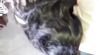 Virgin Cute girl paid for the rent of the apartment with her pussy_Indian_porn_HD_porn - 7 image