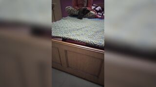 Mallu akka hot sexy talk on lodge - 13 image