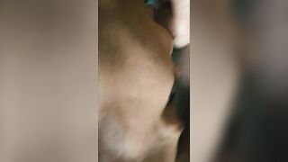 Sucking husbands cock live on camera - 13 image