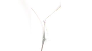 Real desi Bengali ass fucking - 11 image