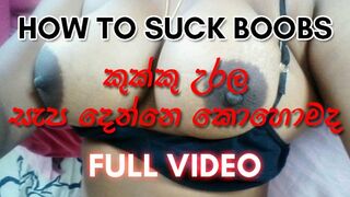 Sri Lankan Guide to how to Suck Boobs