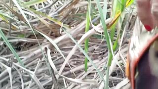 Indian village Girlfriend outdoor sex with boyfriend - 6 image