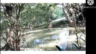 BIG ASS girl having sex in forest BIGASS WIFE INDIAN AUNTY outDOOR FUCK RISKY OUTDOOR - 9 image