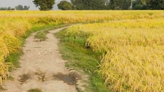 pakistani couple out door public sex in village fields S1 Episode 4 - 6 image