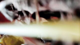 Indian Desi Bhabhi Outdoor Sex. Hindi - 15 image