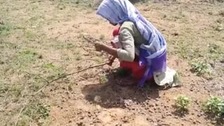 Indian desi girl in khet sex videos - 1 image