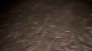 Jungle chudai of Indian collage girl.. came for exam.. - 2 image