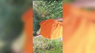 desi bhabhi xxx sexy video in bihar - 15 image