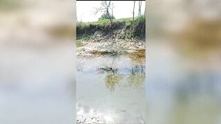 desi bhabhi xxx sexy video in bihar - 6 image