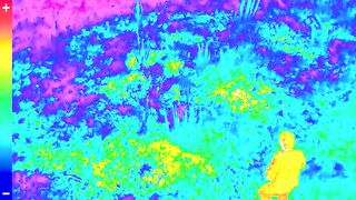 I Survived A Plane Crash - 7 image