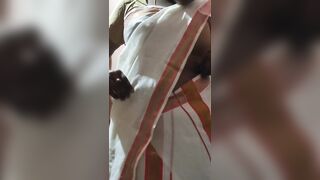Desi mallu girl in sari hot blowjob - 12 image