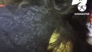 Oscar new girlfriends radical blocker jabardastian - 4 image