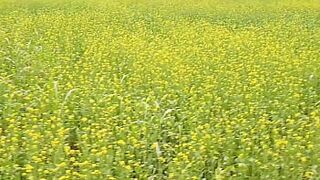 My boyfriend fukcked hard my village pussy hard fucked