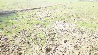 Pakistani village beautifull house sex