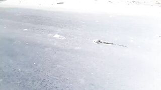 Village boyfriend fukcked hard enjoy with girl MMS hardcore - 2 image