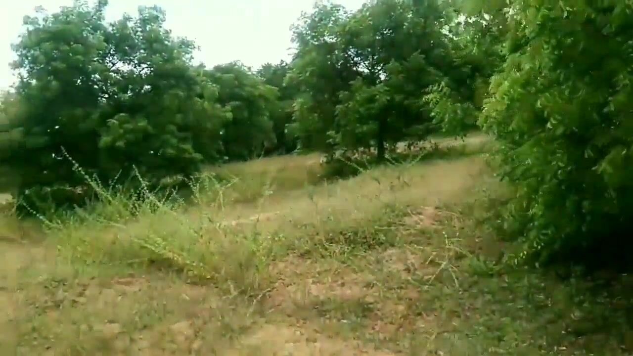 Indian Village Farming girl Having Sex with forest officer watch online