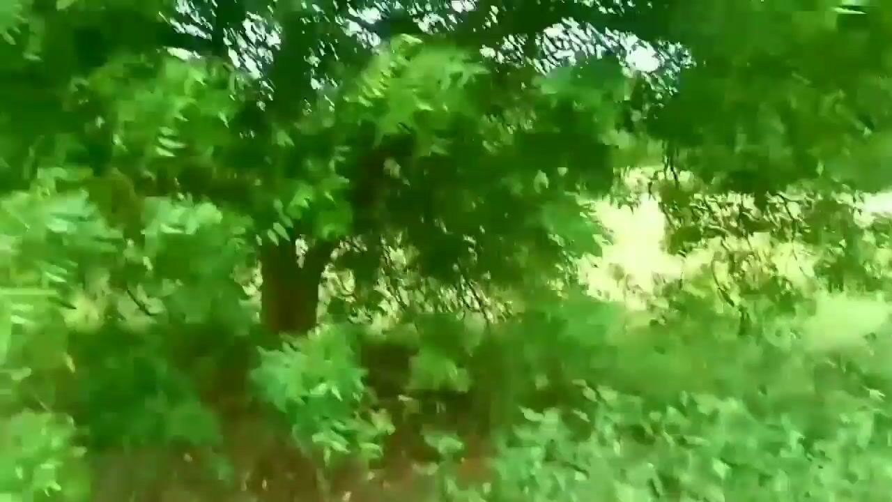 Indian Village Farming girl Having Sex with forest officer watch online